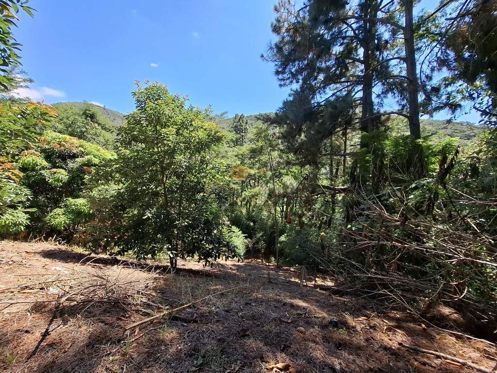 Casa à venda em Fazenda Alpina, Teresópolis - RJ - Foto 24