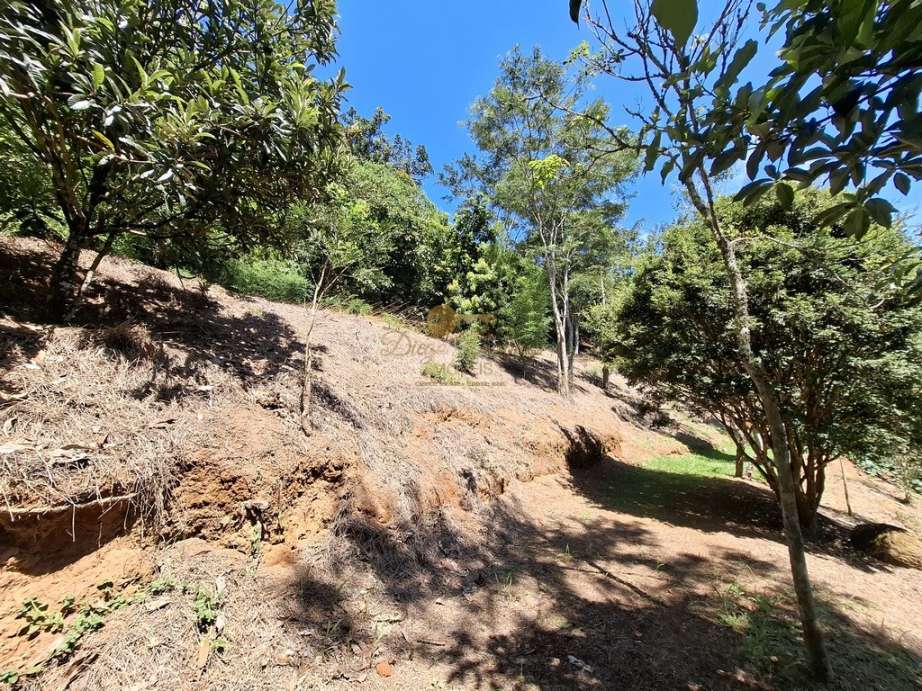 Casa à venda em Fazenda Alpina, Teresópolis - RJ - Foto 23