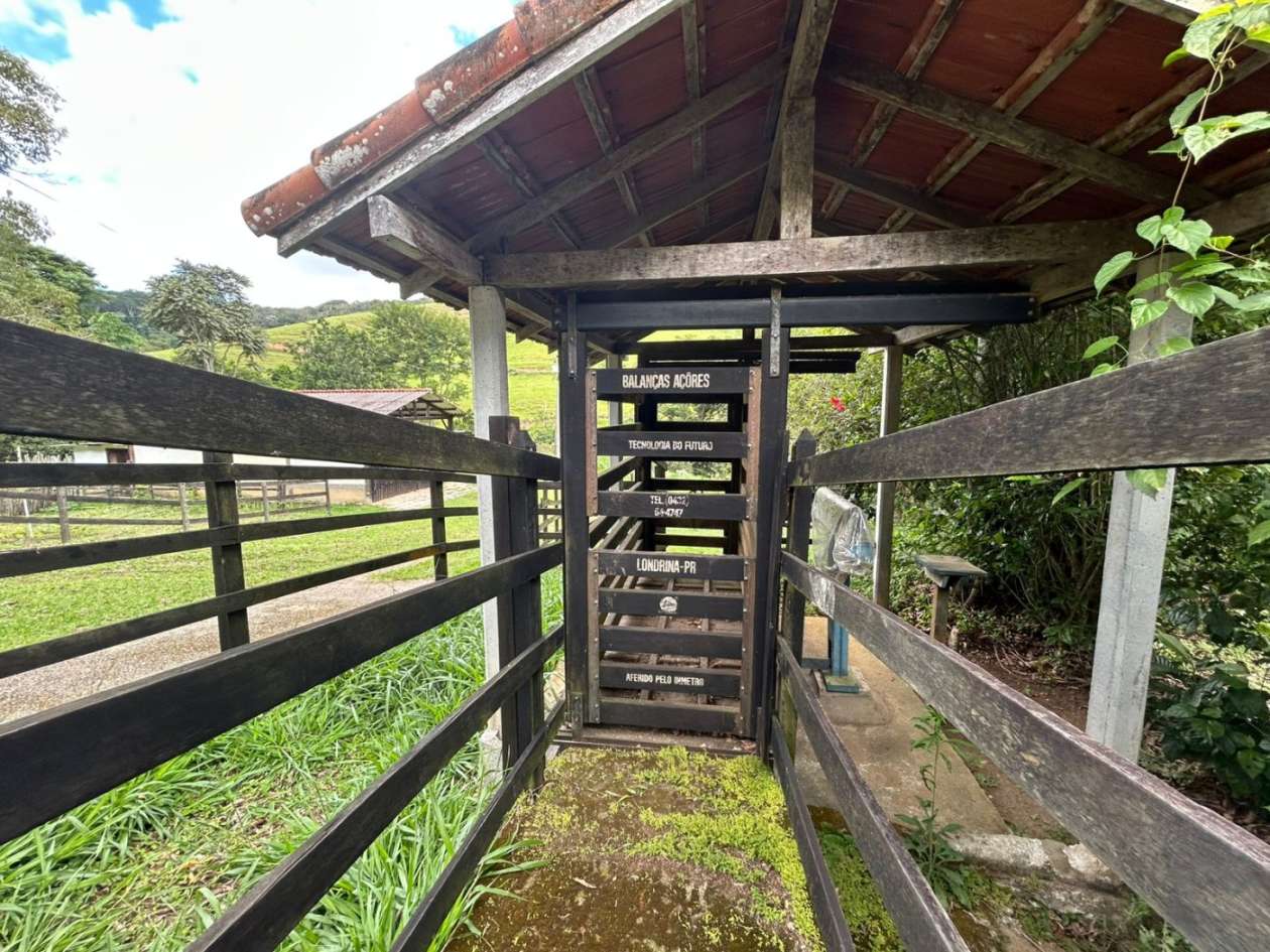 Outros à venda em Ponte Nova, Teresópolis - RJ - Foto 10