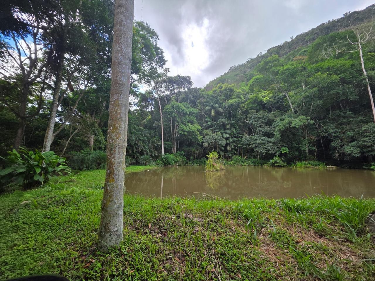 Outros à venda em Ponte Nova, Teresópolis - RJ - Foto 12