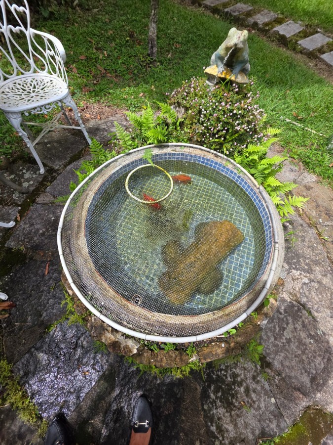 Outros à venda em Ponte Nova, Teresópolis - RJ - Foto 27