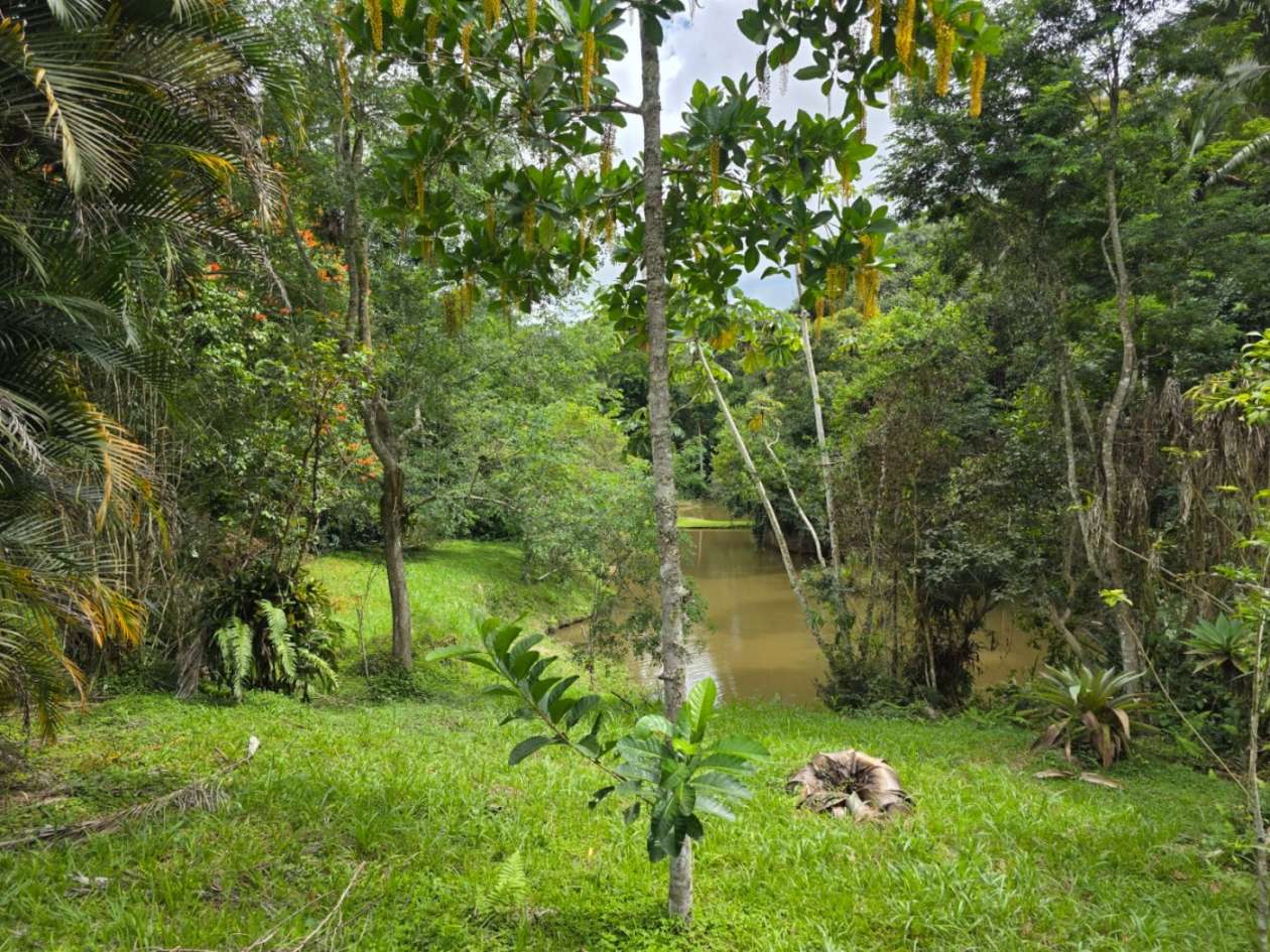 Outros à venda em Ponte Nova, Teresópolis - RJ - Foto 30