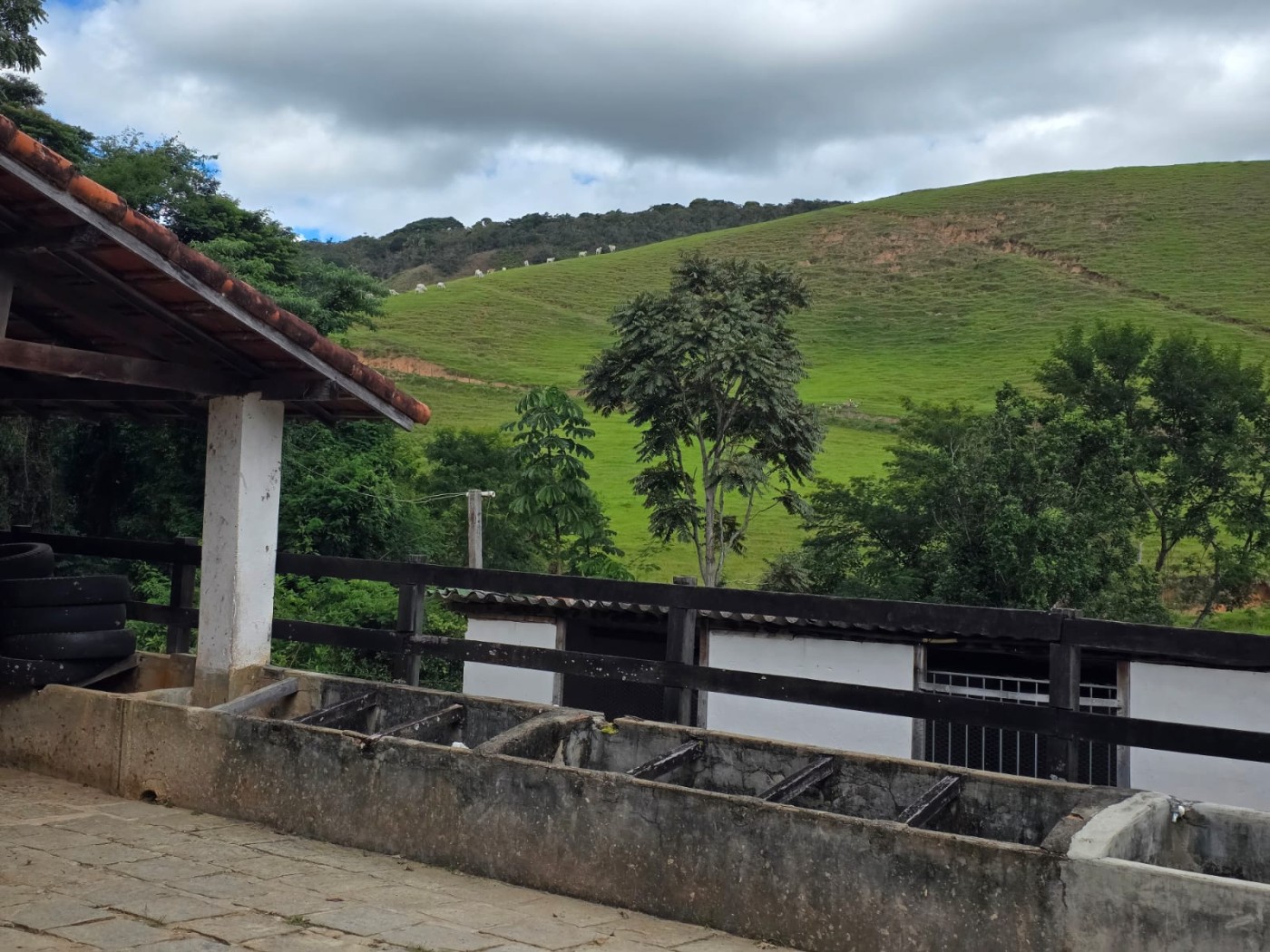 Outros à venda em Ponte Nova, Teresópolis - RJ - Foto 31