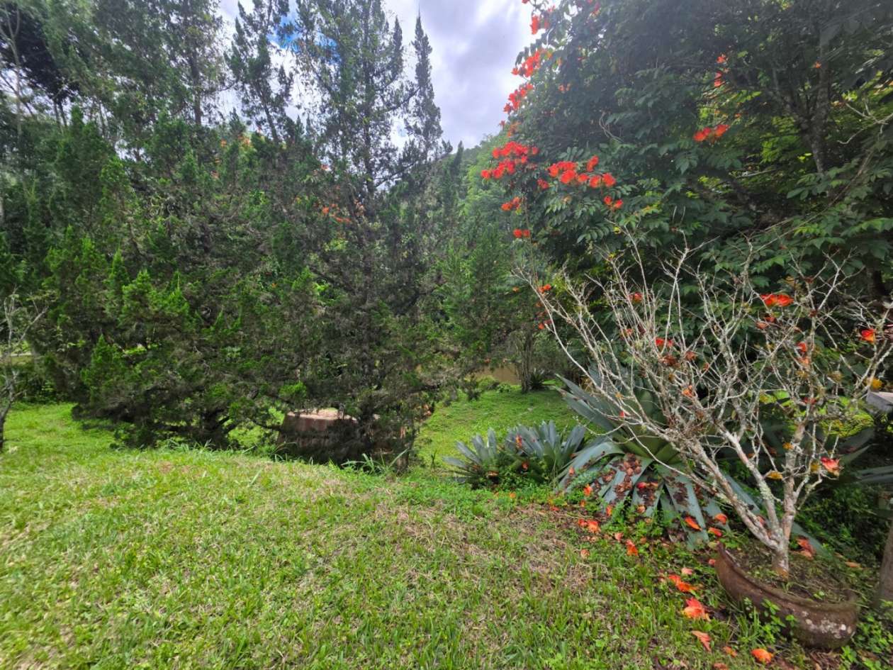 Outros à venda em Ponte Nova, Teresópolis - RJ - Foto 35