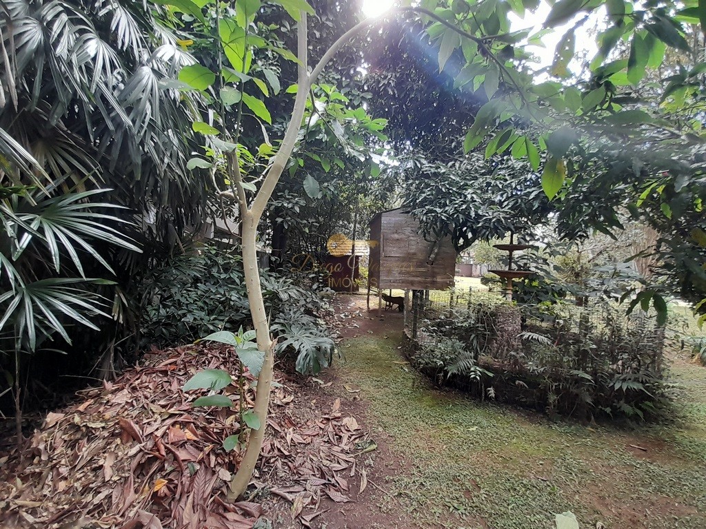 Terreno Residencial à venda em Vale do Paraíso, Teresópolis - RJ - Foto 9