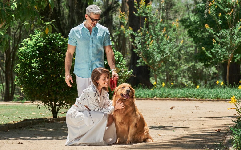 Terreno Residencial à venda em Parque do Imbui, Teresópolis - RJ - Foto 6