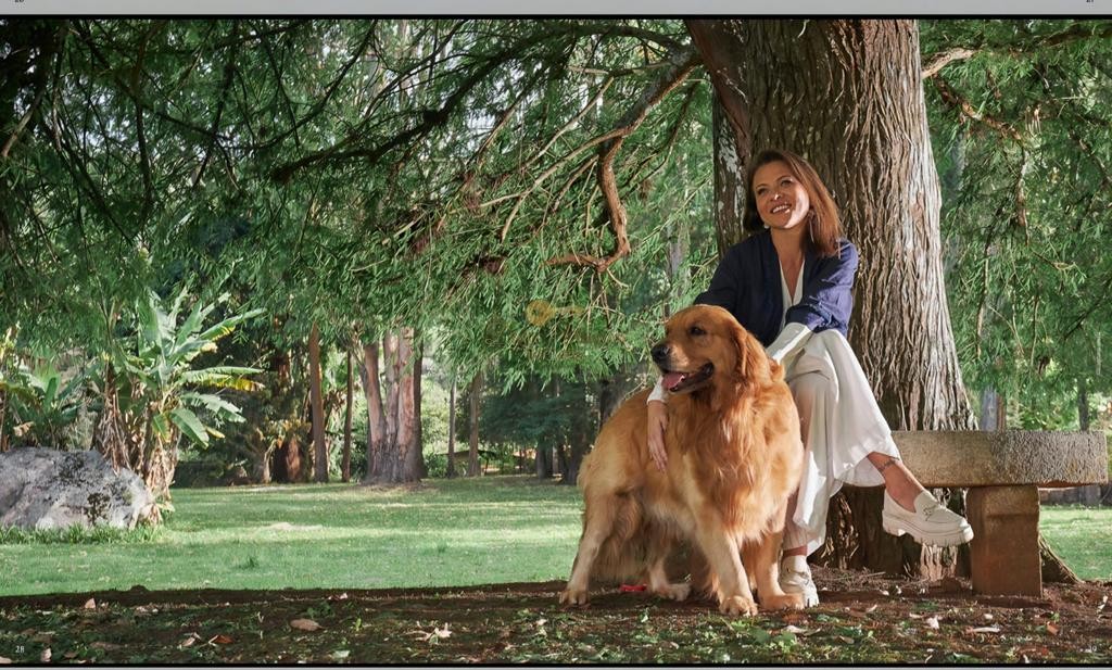 Terreno Residencial à venda em Parque do Imbui, Teresópolis - RJ - Foto 9