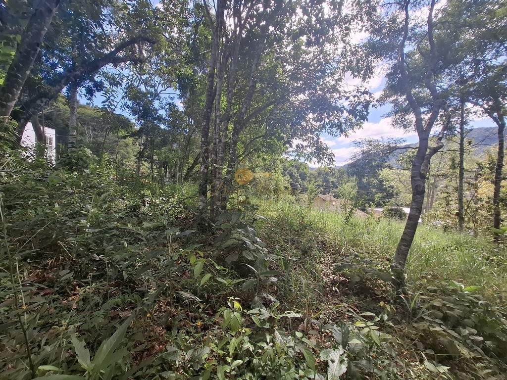 Terreno Residencial à venda em Albuquerque, Teresópolis - RJ - Foto 4