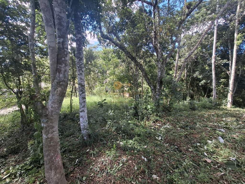 Terreno Residencial à venda em Albuquerque, Teresópolis - RJ - Foto 3