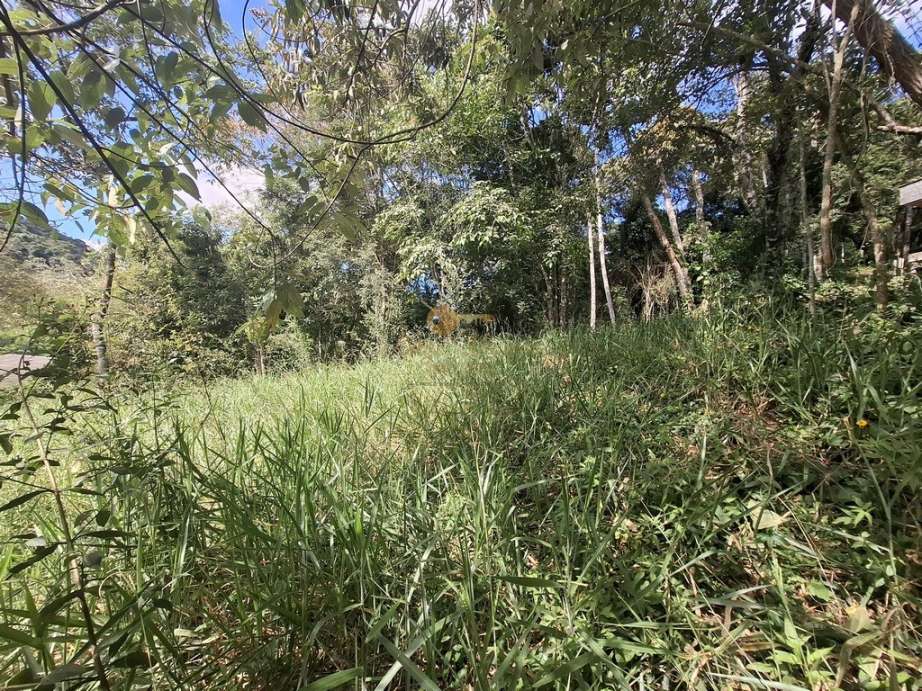 Terreno Residencial à venda em Albuquerque, Teresópolis - RJ - Foto 8