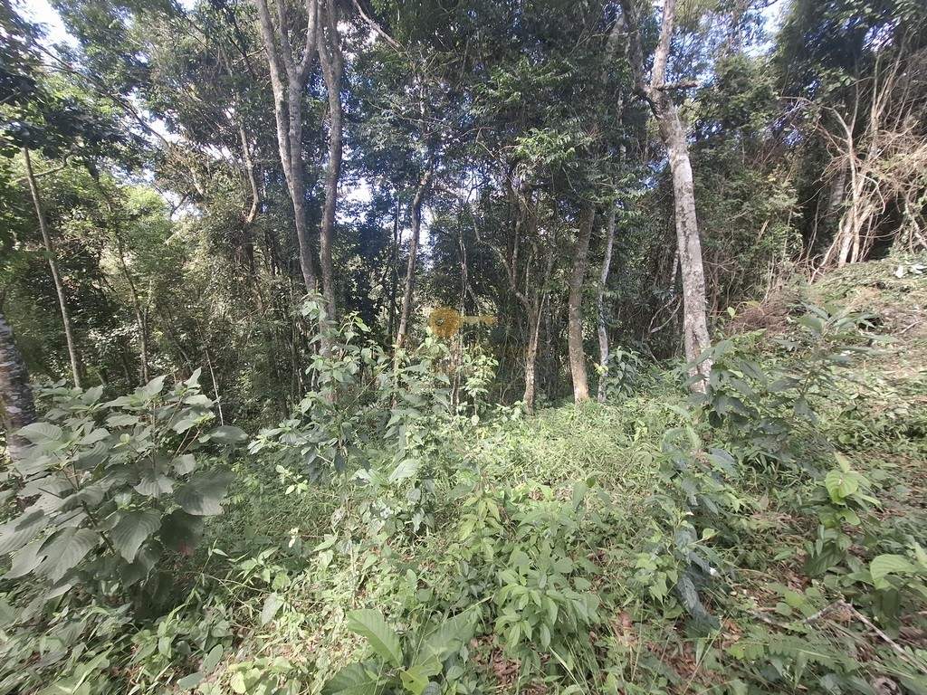 Terreno Residencial à venda em Albuquerque, Teresópolis - RJ - Foto 6