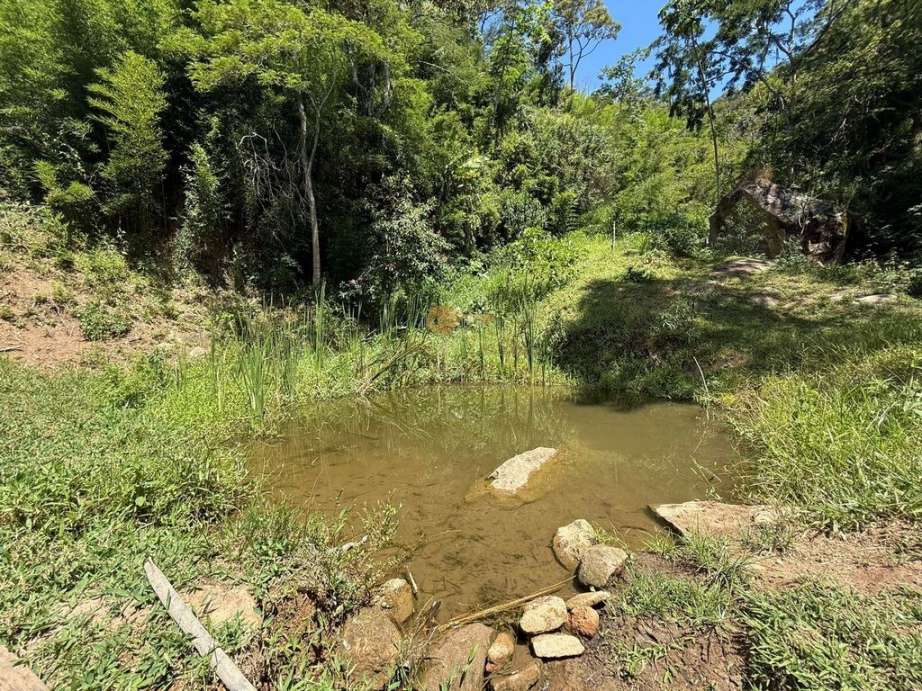 Outros à venda em Pessegueiros, Teresópolis - RJ - Foto 2