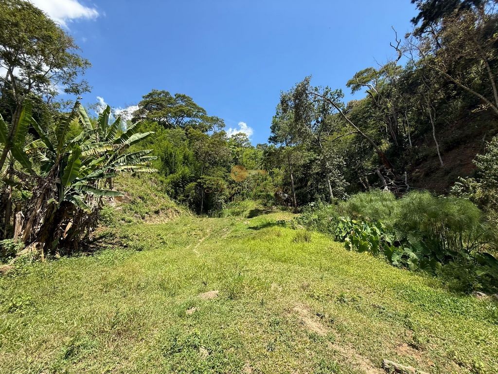 Outros à venda em Pessegueiros, Teresópolis - RJ - Foto 6