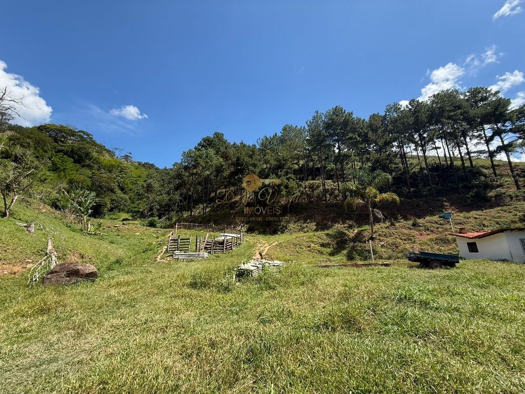 Outros à venda em Pessegueiros, Teresópolis - RJ - Foto 8