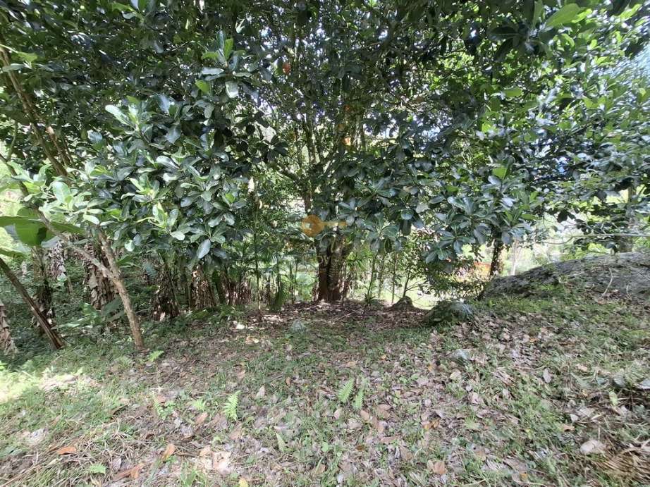 Casa à venda em Canoas, Teresópolis - RJ - Foto 31