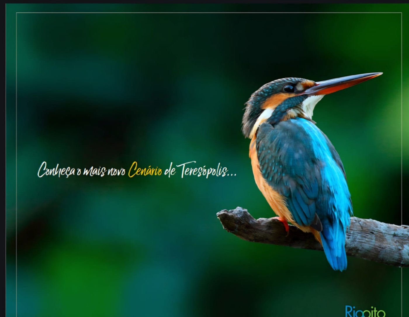 Apartamento à venda em Albuquerque, Teresópolis - RJ - Foto 3