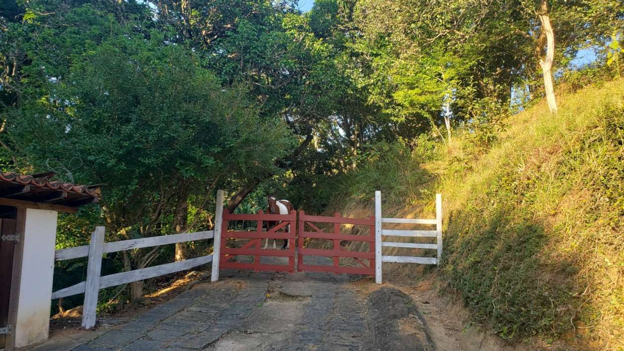 Outros à venda em Bemposta, Três Rios - RJ - Foto 3