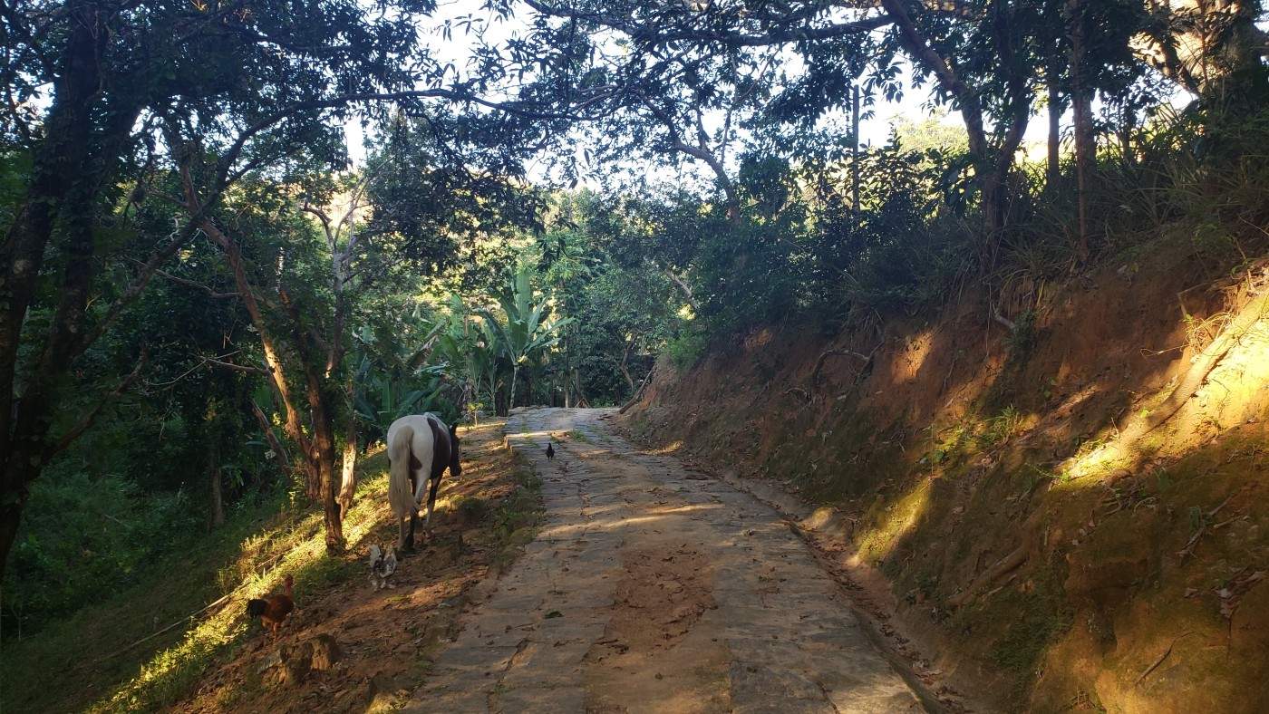 Outros à venda em Bemposta, Três Rios - RJ - Foto 5