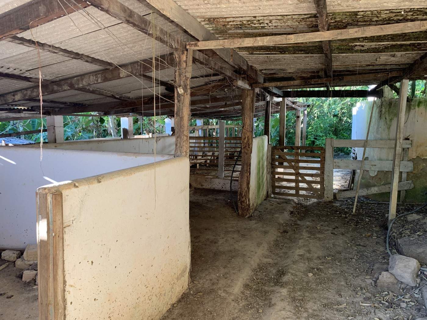 Outros à venda em Bemposta, Três Rios - RJ - Foto 36