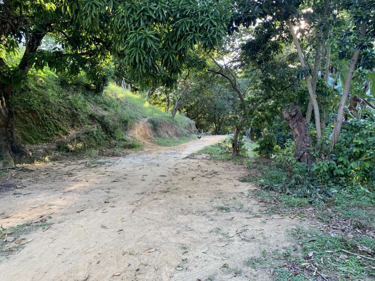 Outros à venda em Bemposta, Três Rios - RJ - Foto 38