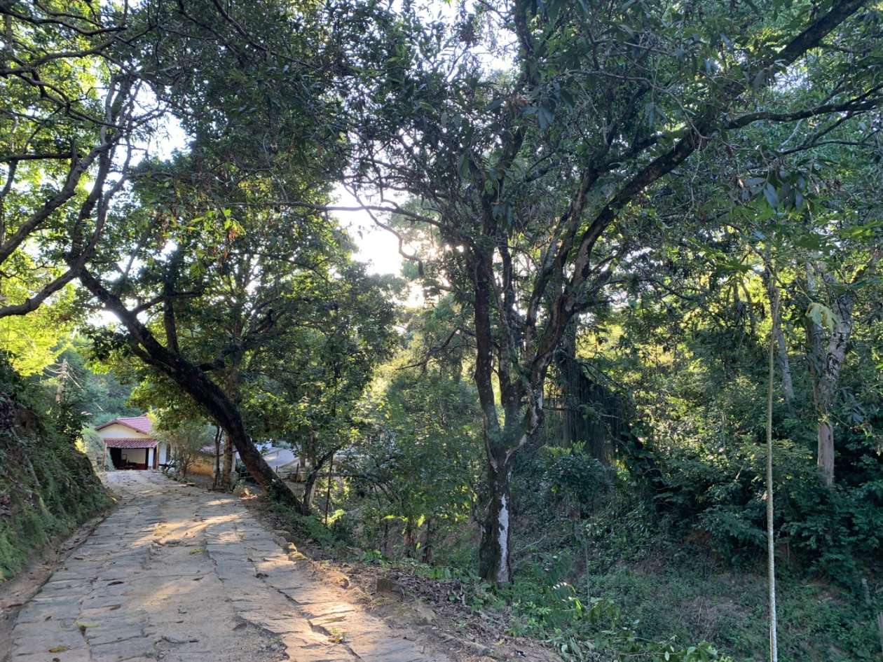 Outros à venda em Bemposta, Três Rios - RJ - Foto 42