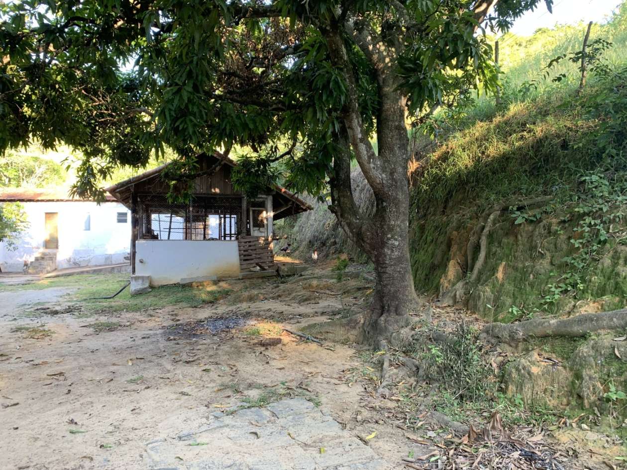 Outros à venda em Bemposta, Três Rios - RJ - Foto 46