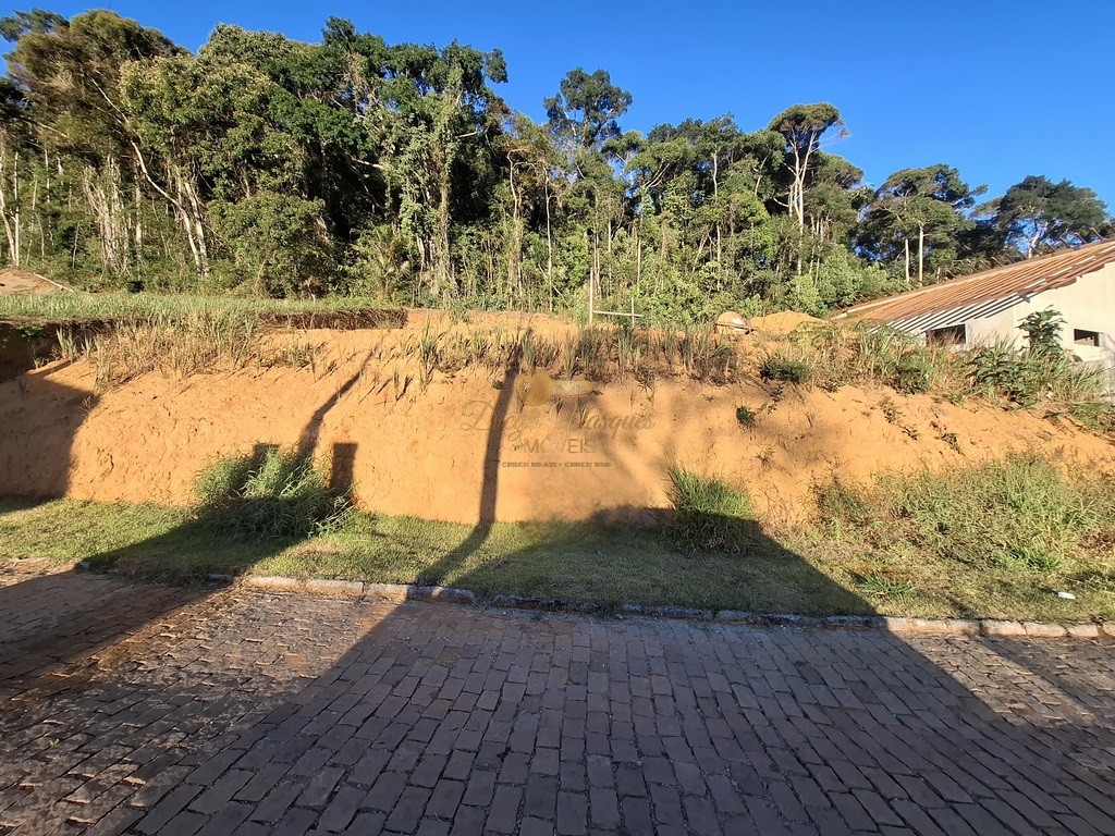 Terreno Residencial à venda em Prata, Teresópolis - RJ - Foto 2