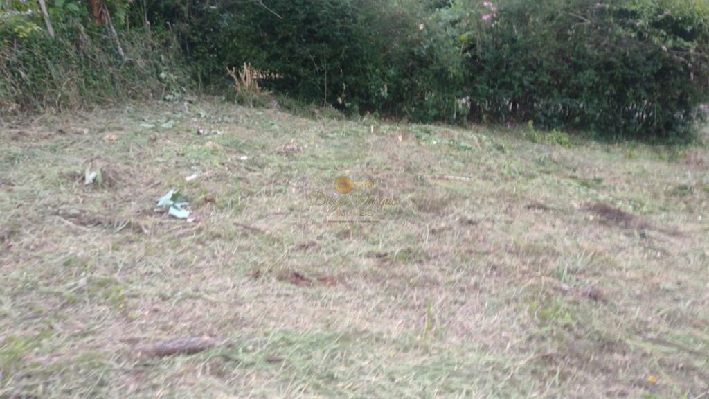 Terreno Residencial à venda em Albuquerque, Teresópolis - RJ - Foto 3