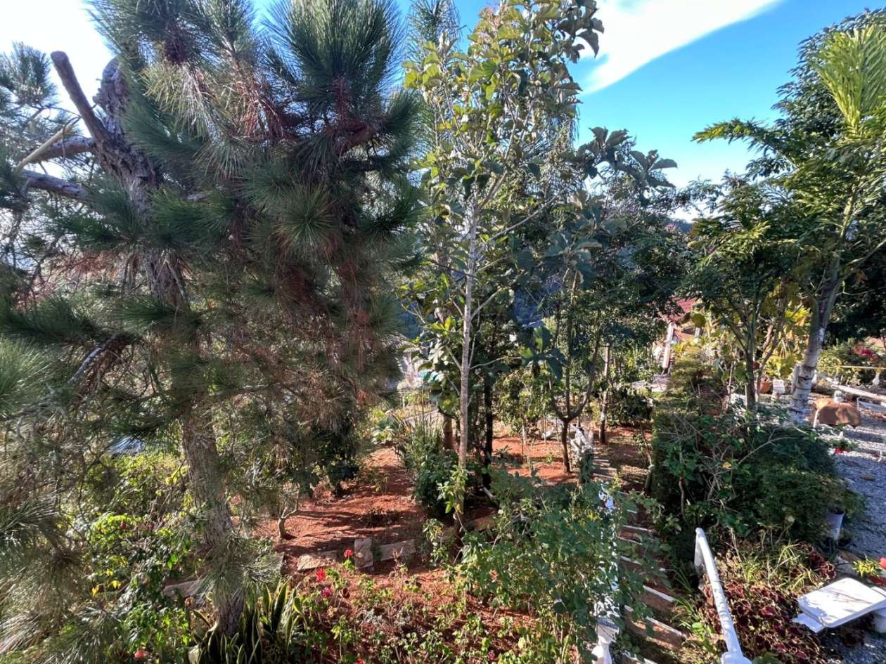 Casa à venda em Pedro do Rio, Petrópolis - RJ - Foto 21