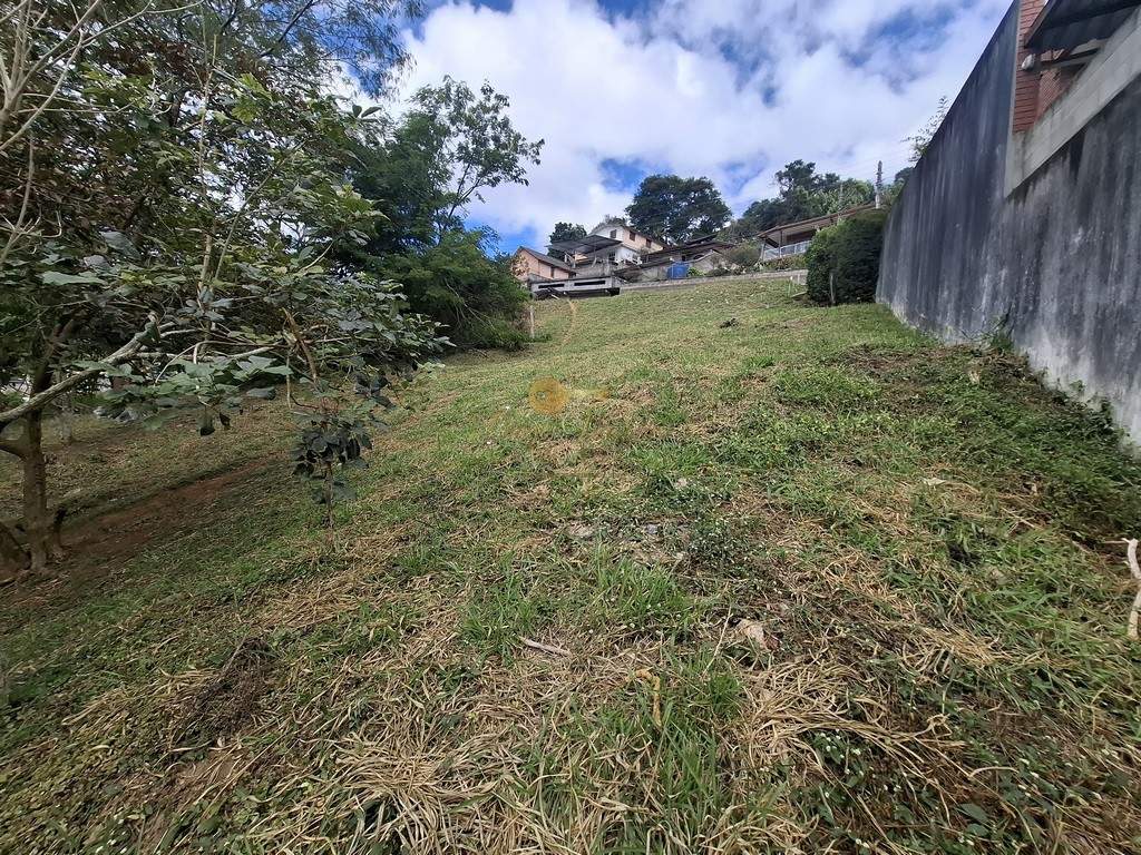 Terreno Residencial à venda em Granja Florestal, Teresópolis - RJ - Foto 9