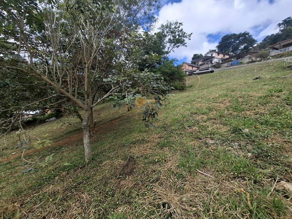 Terreno Residencial à venda em Granja Florestal, Teresópolis - RJ - Foto 10