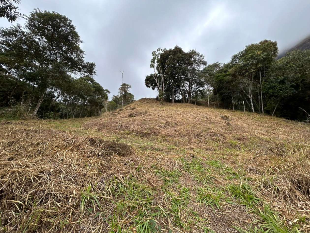 Terreno Residencial à venda em Itaipava, Petrópolis - RJ - Foto 10