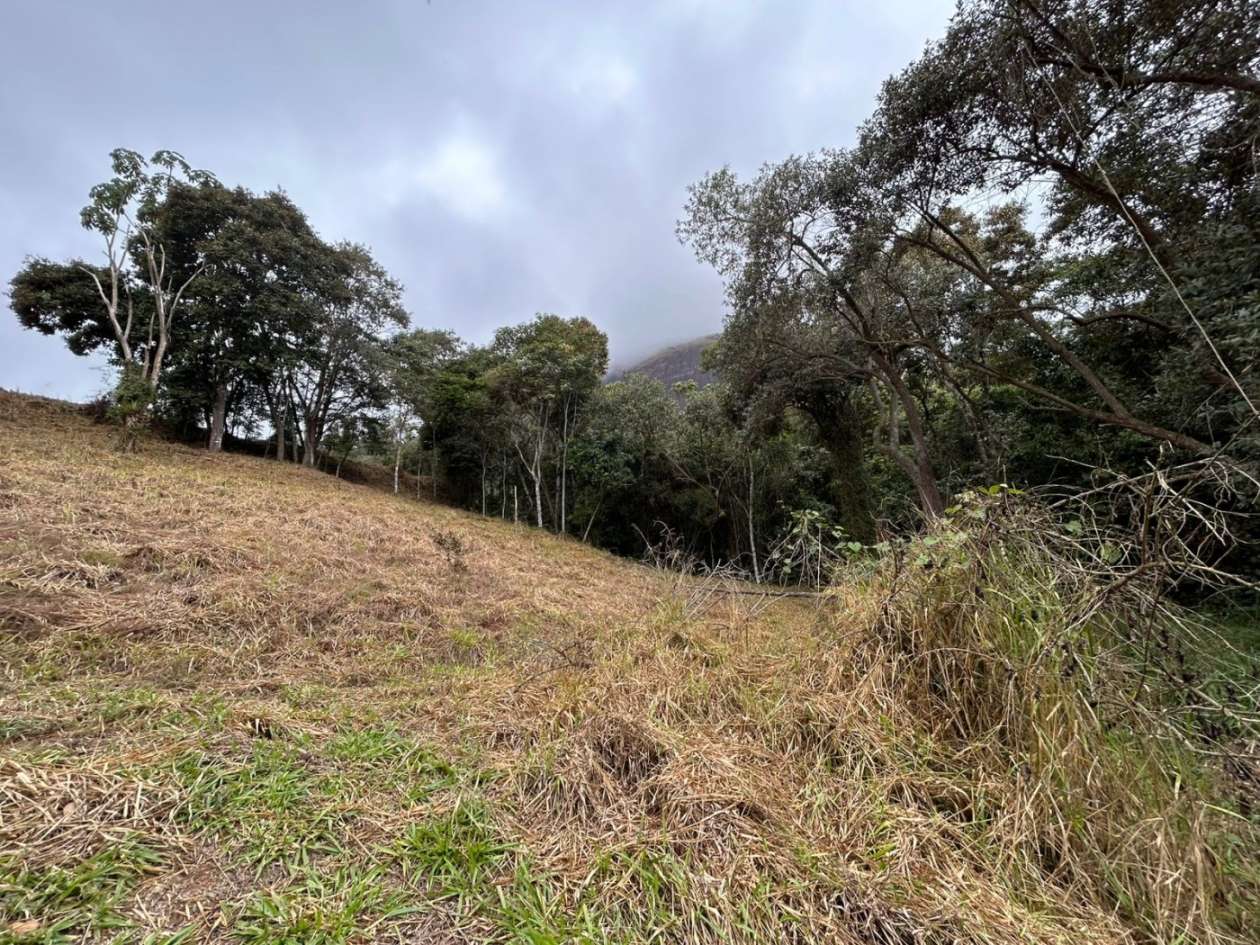 Terreno Residencial à venda em Itaipava, Petrópolis - RJ - Foto 12