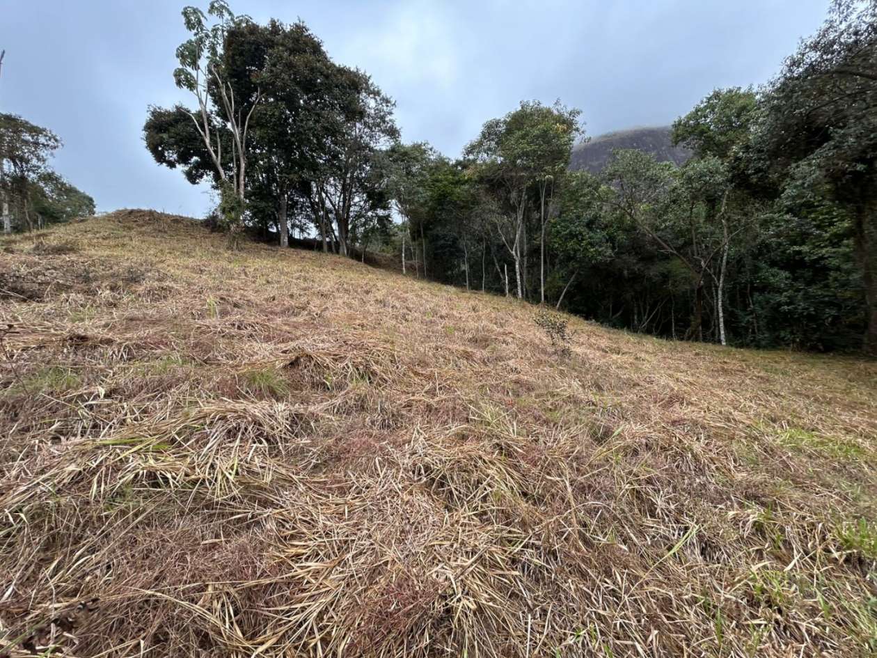 Terreno Residencial à venda em Itaipava, Petrópolis - RJ - Foto 14