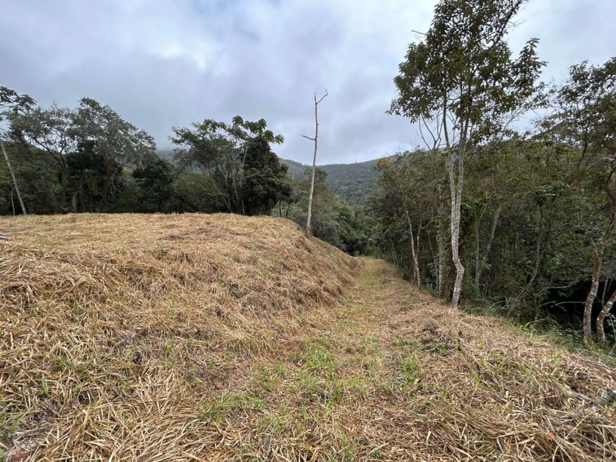 Terreno Residencial à venda em Itaipava, Petrópolis - RJ - Foto 13