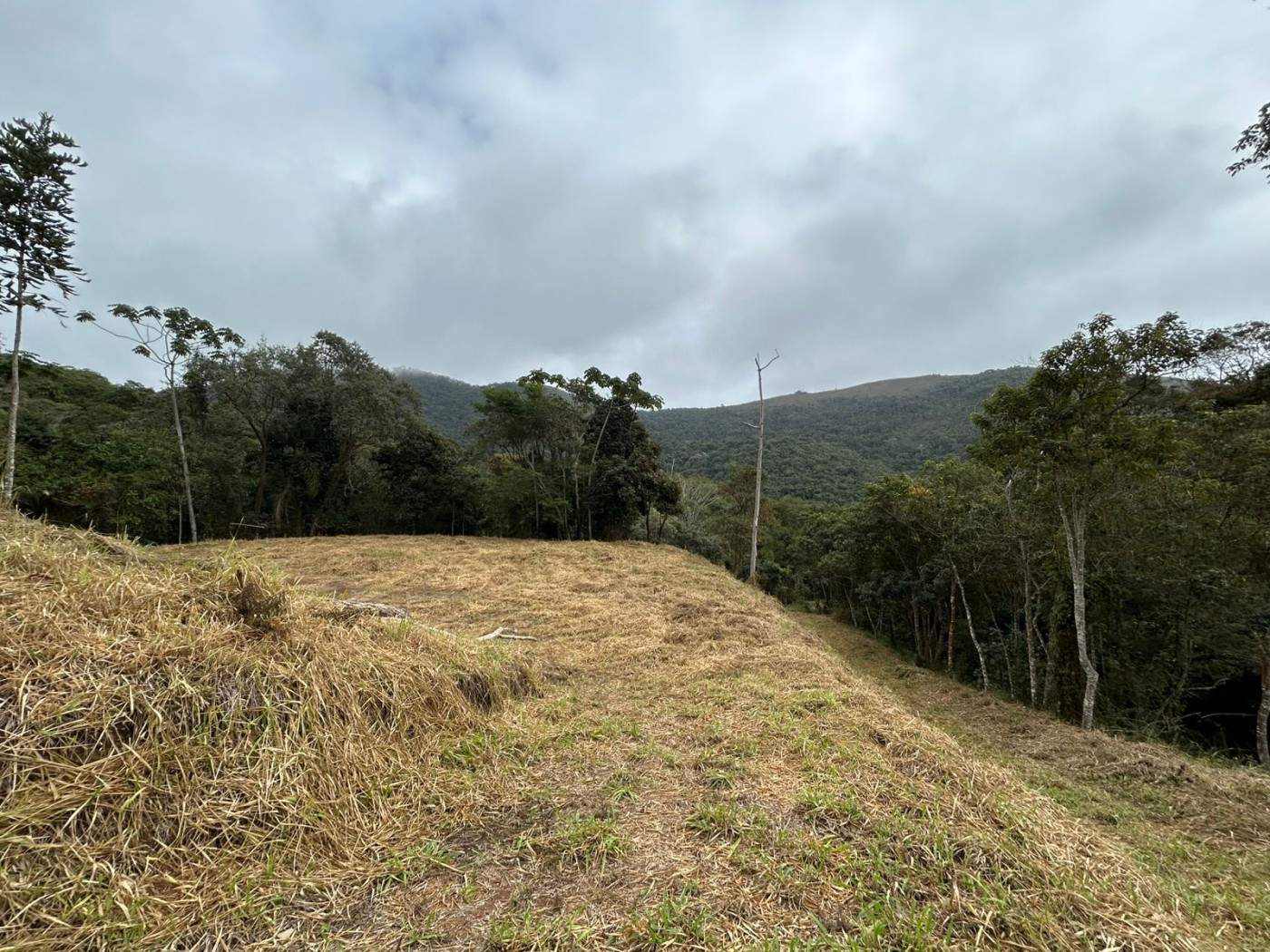 Terreno Residencial à venda em Itaipava, Petrópolis - RJ - Foto 19