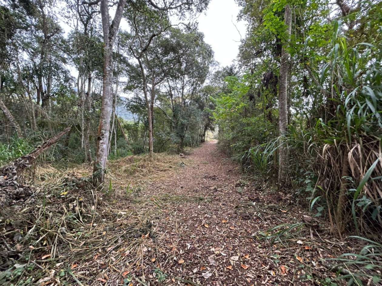 Terreno Residencial à venda em Itaipava, Petrópolis - RJ - Foto 26