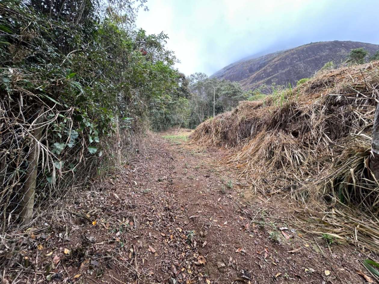 Terreno Residencial à venda em Itaipava, Petrópolis - RJ - Foto 25