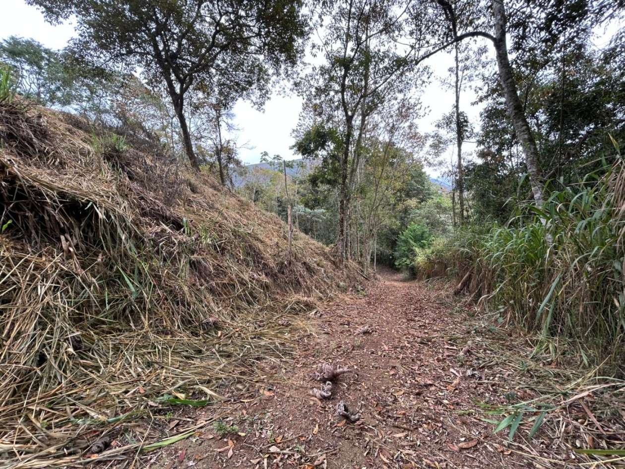 Terreno Residencial à venda em Itaipava, Petrópolis - RJ - Foto 27