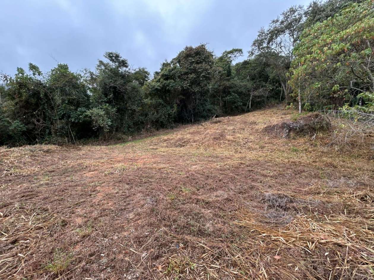 Terreno Residencial à venda em Itaipava, Petrópolis - RJ - Foto 28