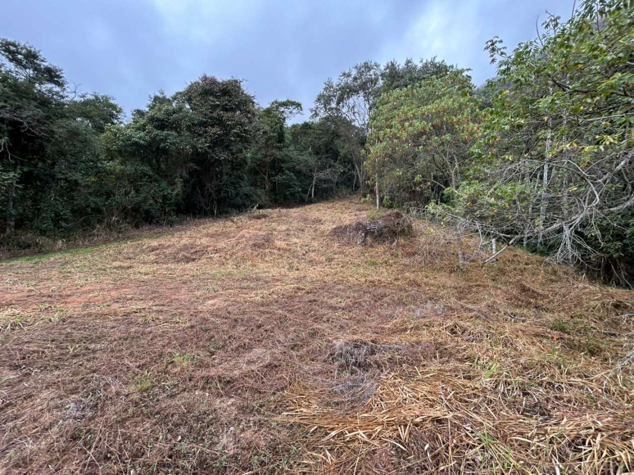 Terreno Residencial à venda em Itaipava, Petrópolis - RJ - Foto 29