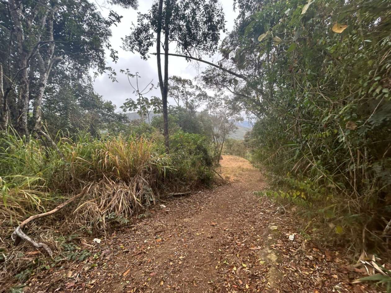 Terreno Residencial à venda em Itaipava, Petrópolis - RJ - Foto 30