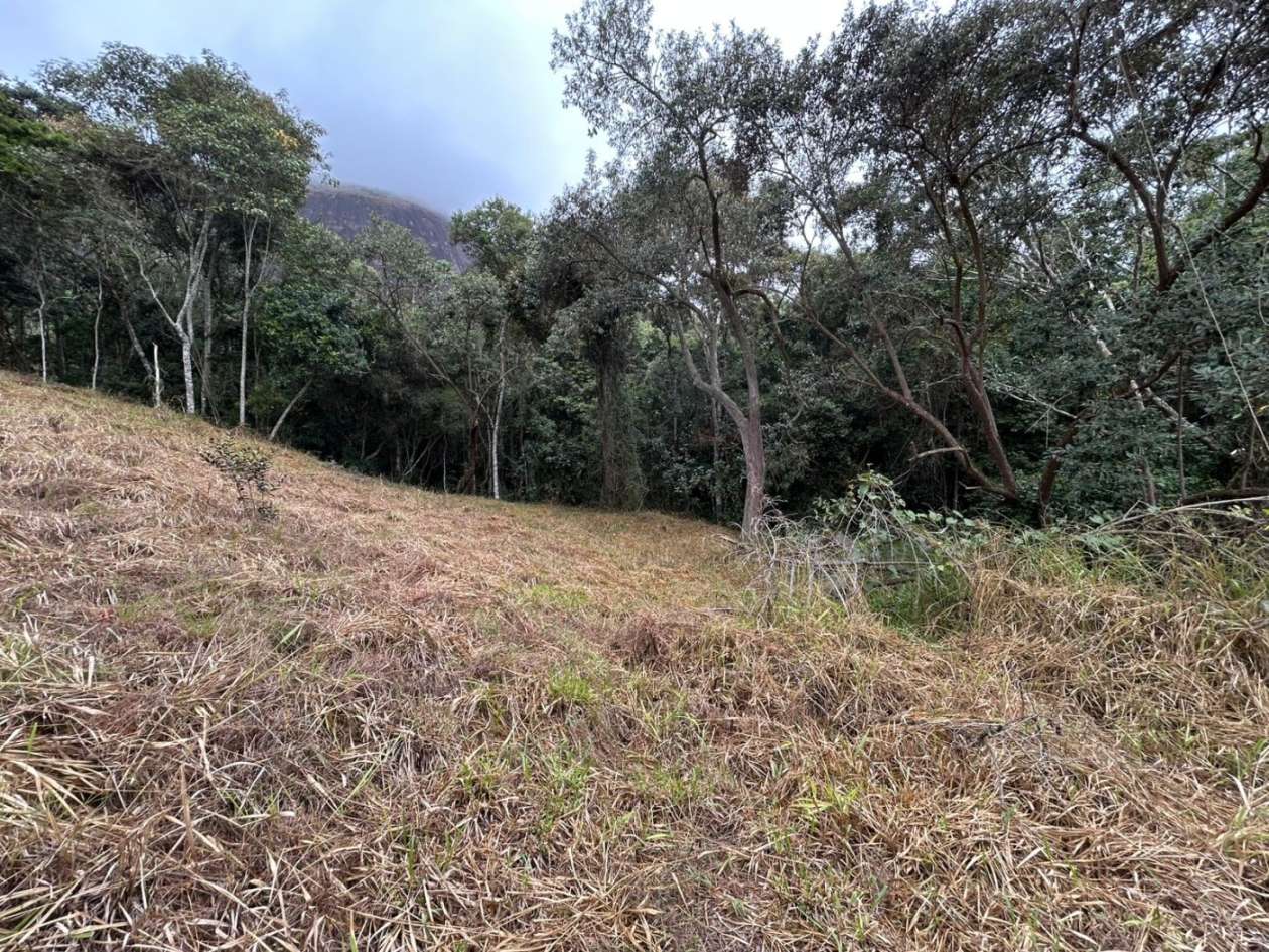 Terreno Residencial à venda em Itaipava, Petrópolis - RJ - Foto 32