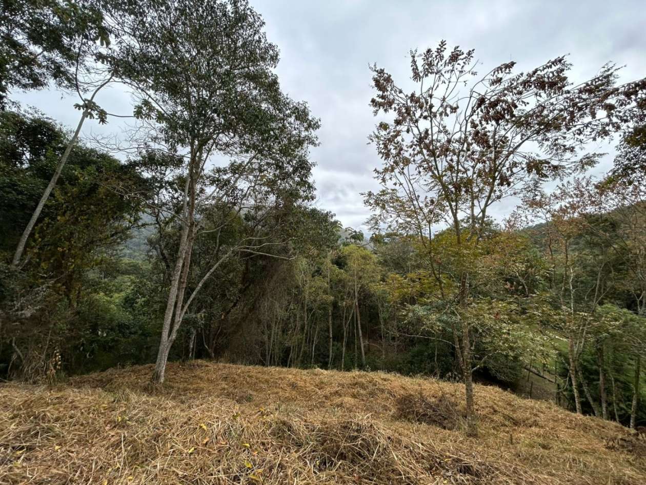 Terreno Residencial à venda em Itaipava, Petrópolis - RJ - Foto 33