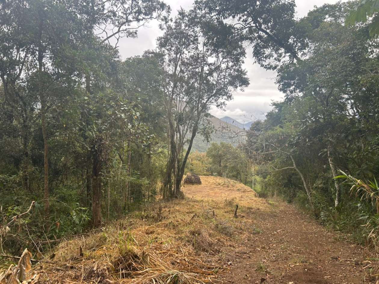Terreno Residencial à venda em Itaipava, Petrópolis - RJ - Foto 36