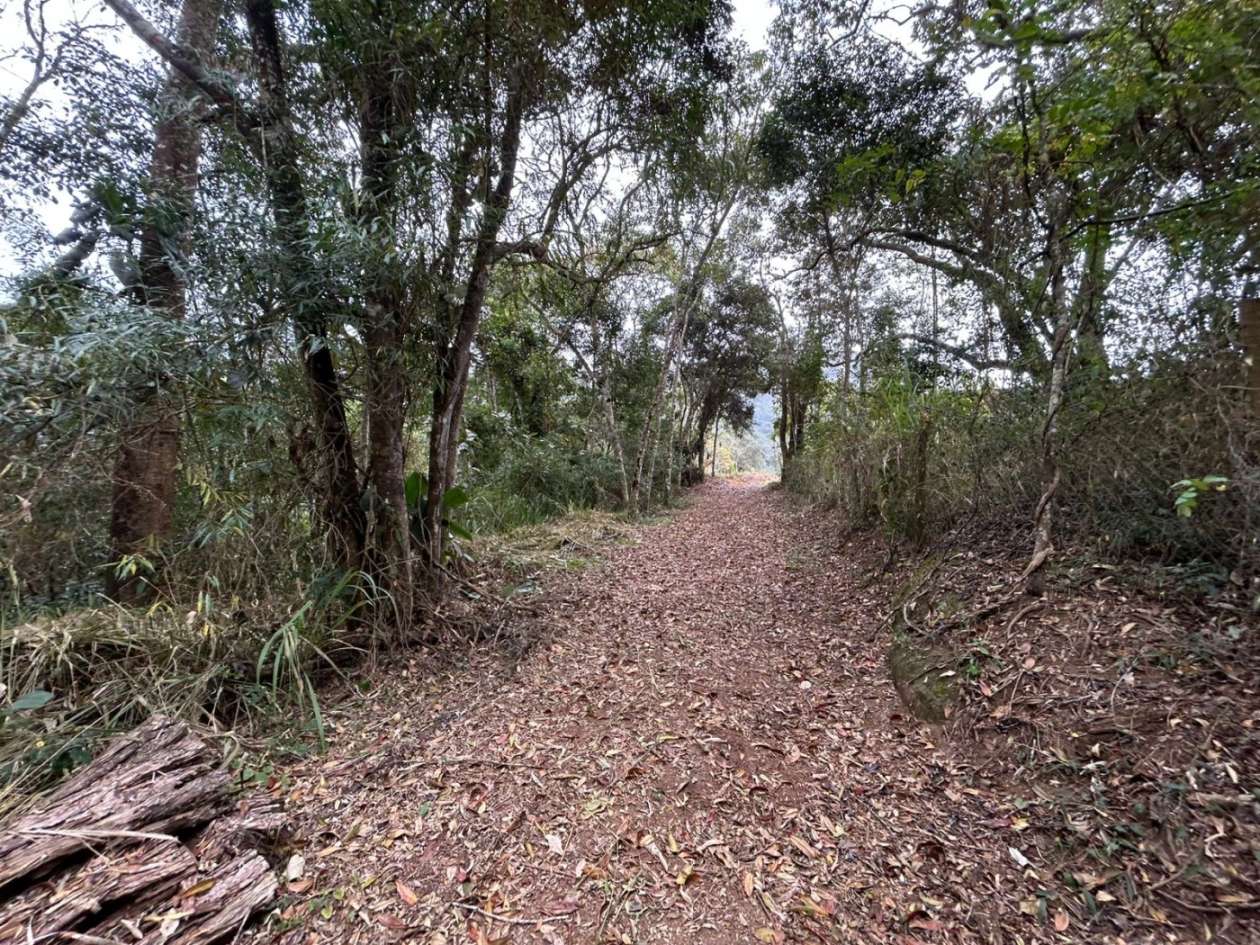 Terreno Residencial à venda em Itaipava, Petrópolis - RJ - Foto 9