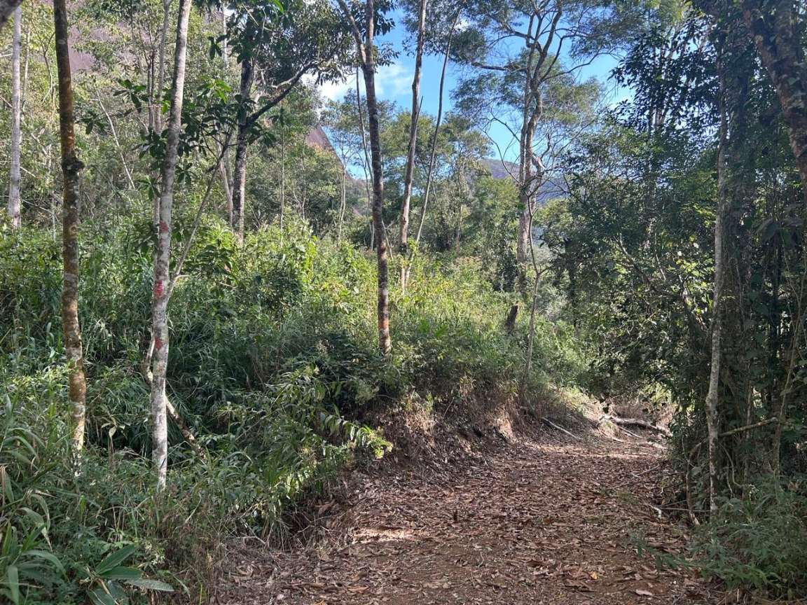 Terreno Residencial à venda em Itaipava, Petrópolis - RJ - Foto 8