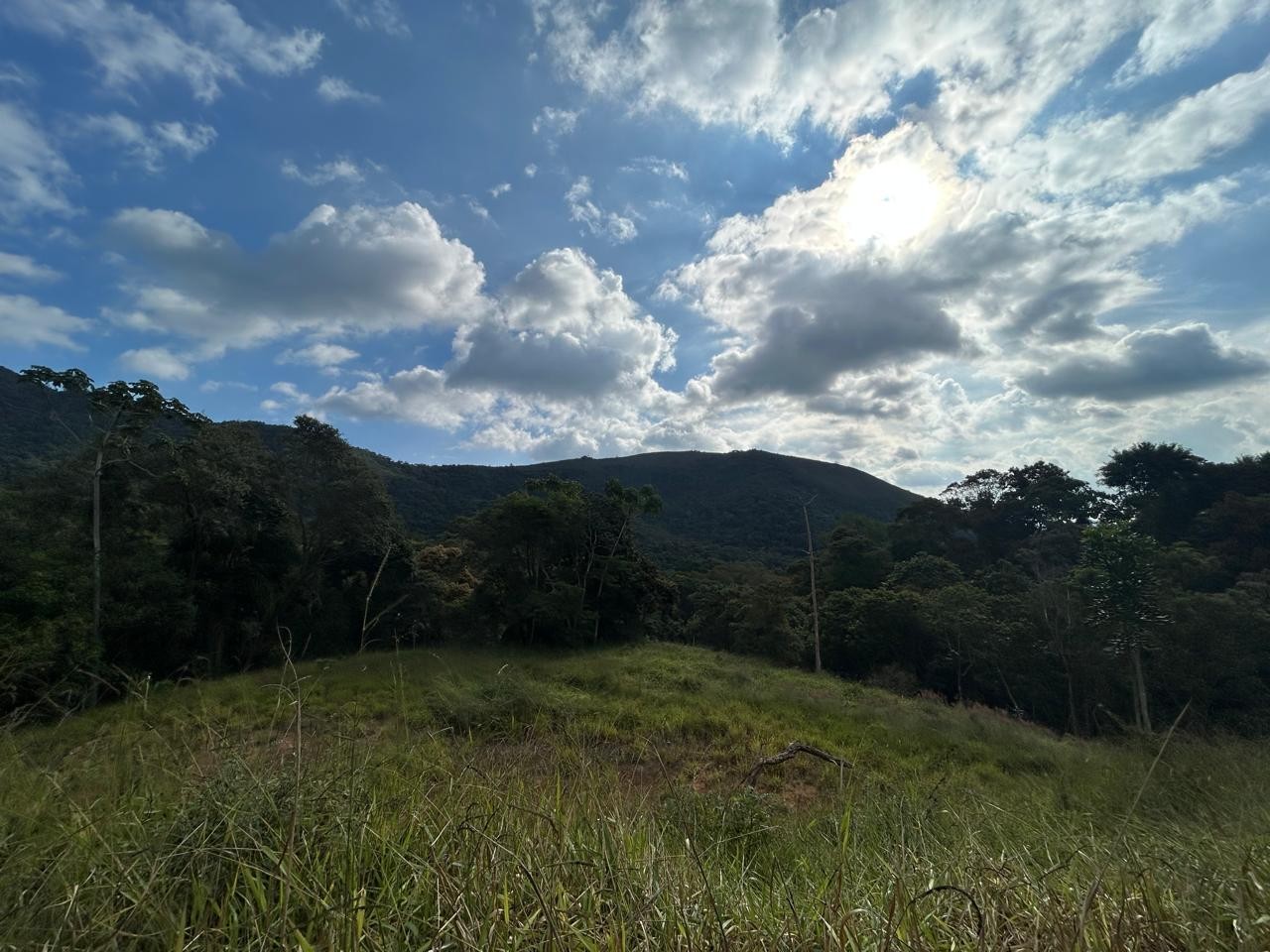 Terreno Residencial à venda em Itaipava, Petrópolis - RJ - Foto 5