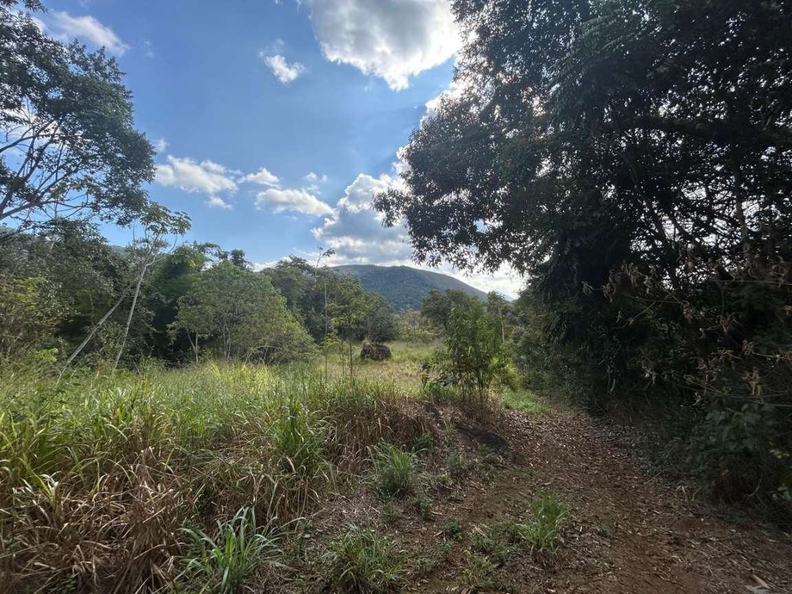 Terreno Residencial à venda em Itaipava, Petrópolis - RJ - Foto 7