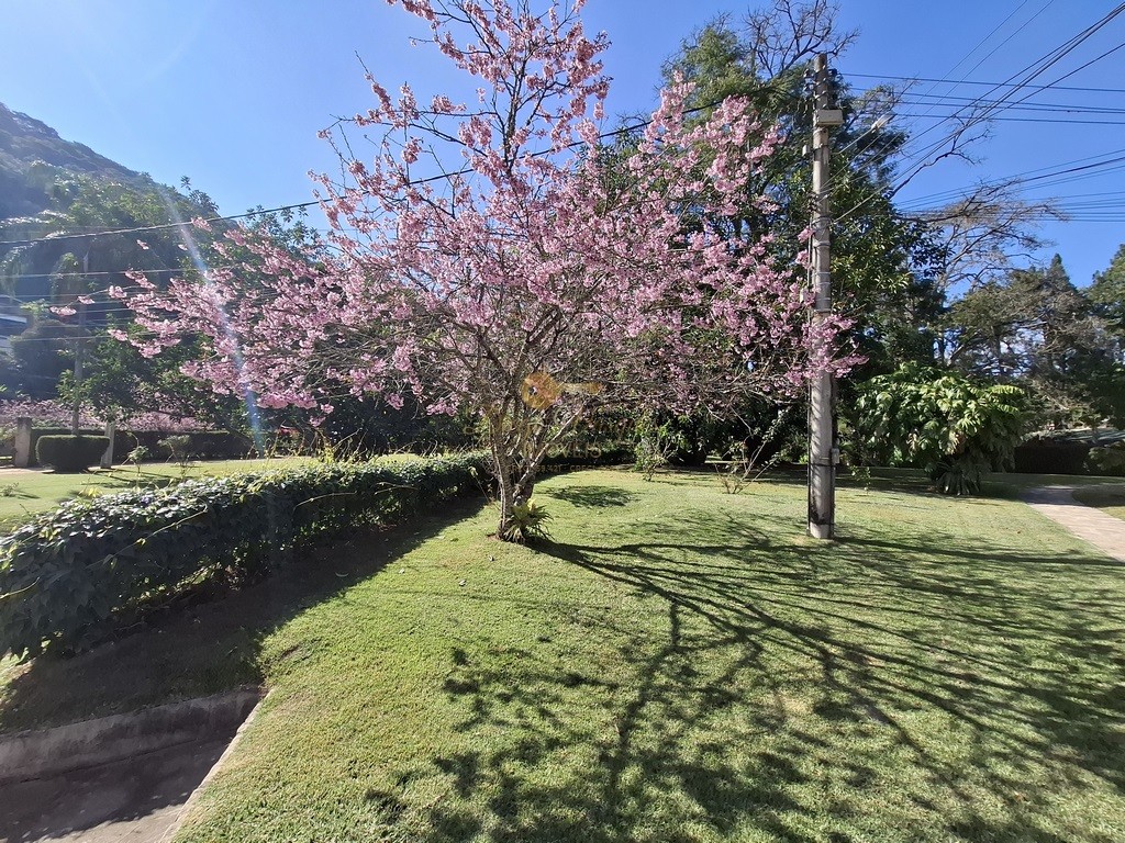 Apartamento à venda em Posse, Teresópolis - RJ - Foto 10